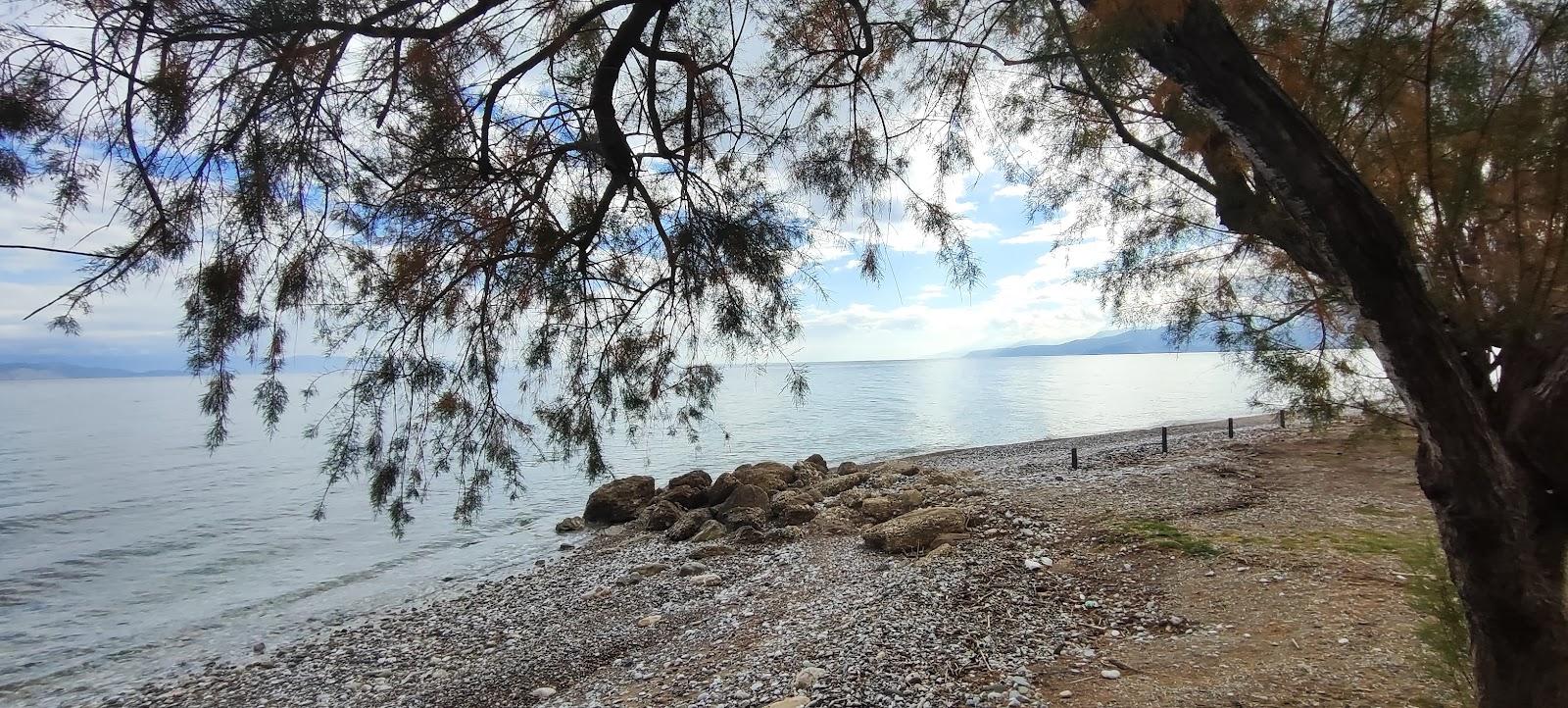 Sandee Temeni Beach