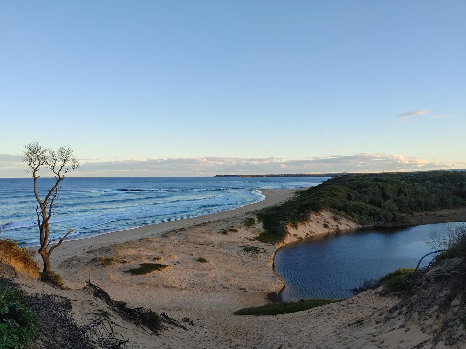 Sandee Cudmirrah Off Leash Beach Photo