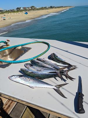 Sandee - Nags Head Fishing Pier