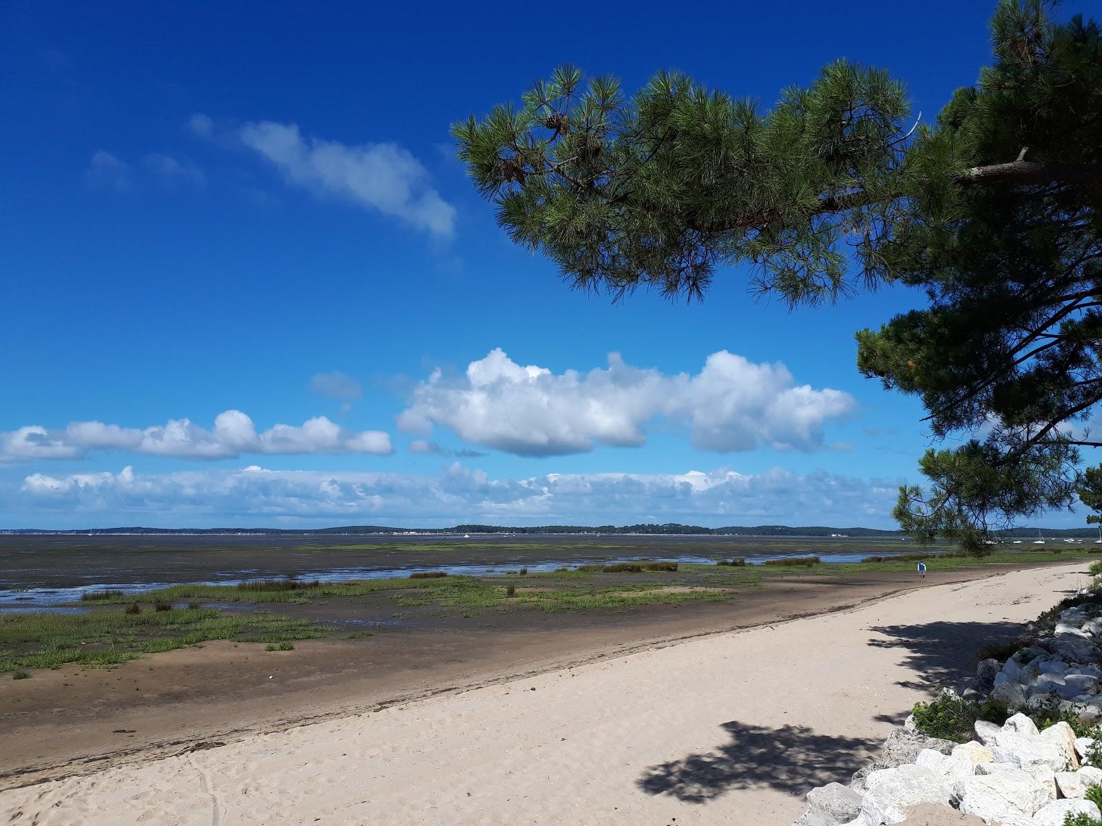 Sandee Saint Brice Lake Photo