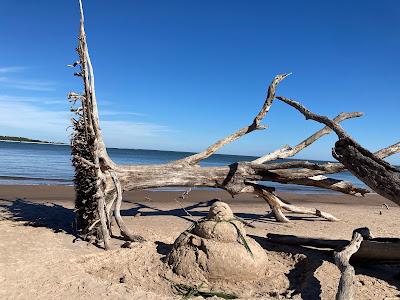 Sandee - Boneyard Beach