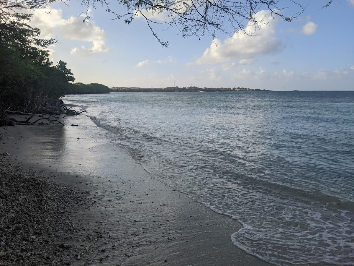 Sandee Shell Beach Photo