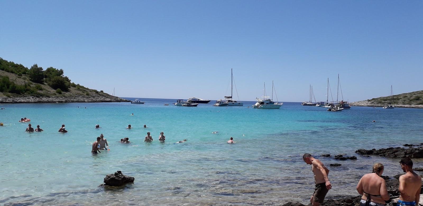 Sandee Beach Lipauska,