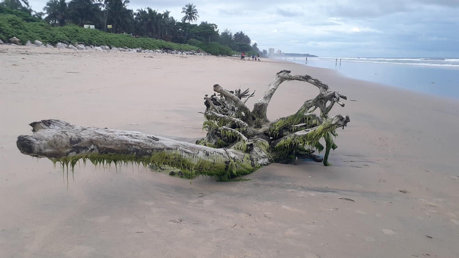 Sandee - Palliyamoola Beach