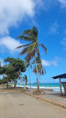 Sandee - Playa De El Tirano