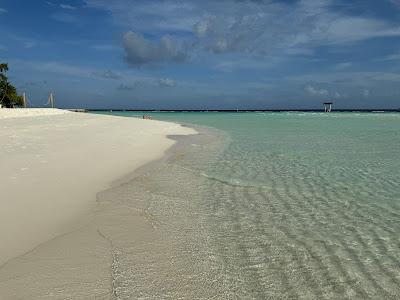 Sandee - Maayafushi Beach