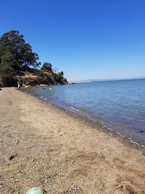 Sandee - China Camp Beach