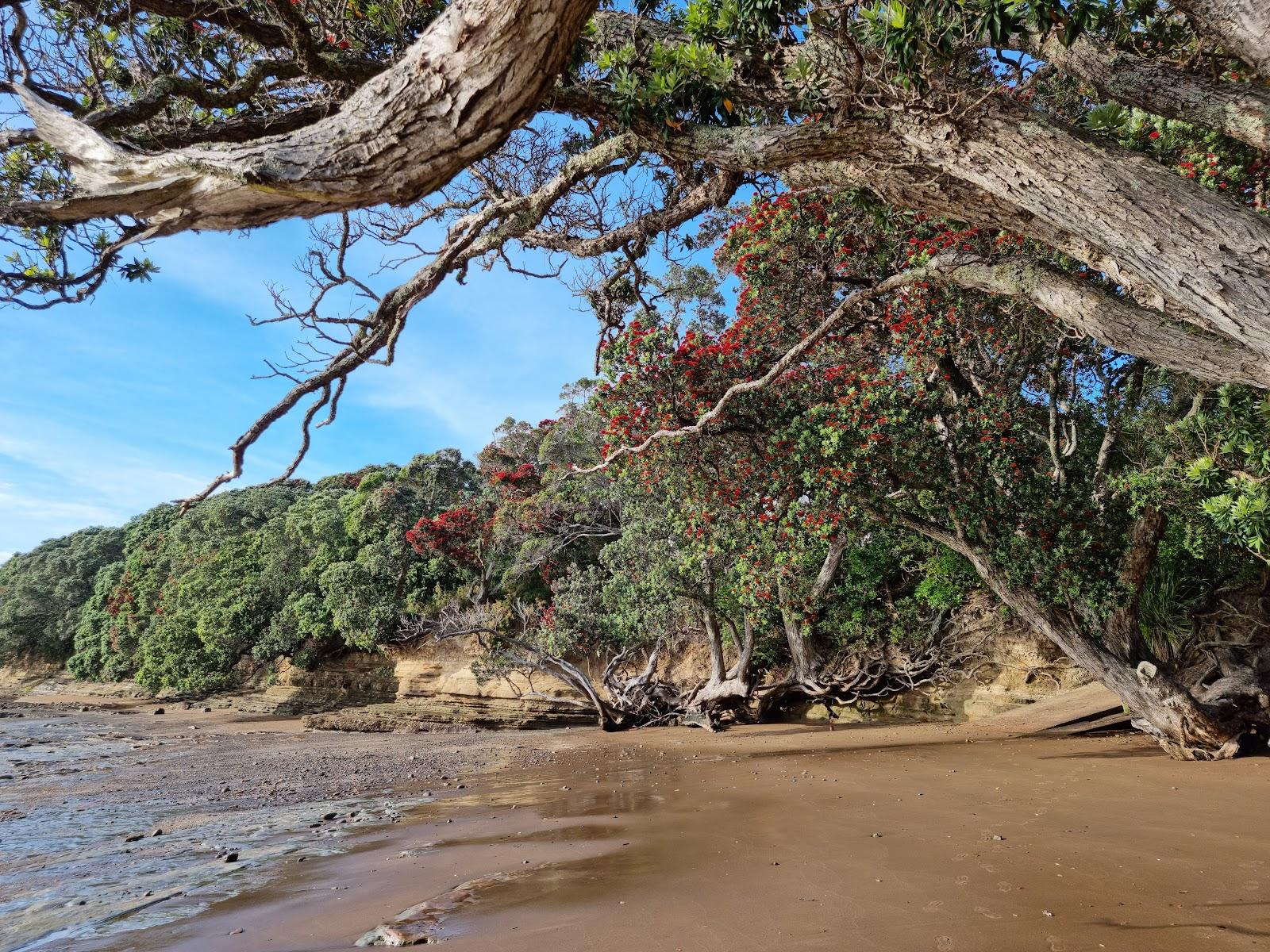 Sandee Swann Beach Reserve