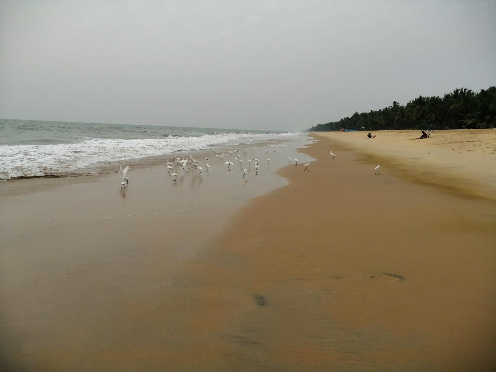 Sandee Hosdurg Beach