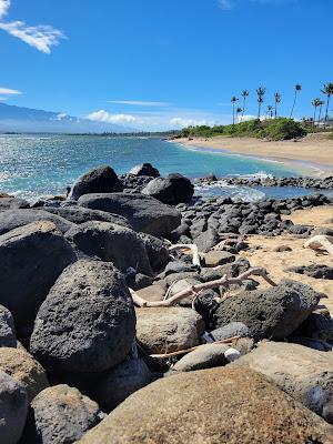 Sandee - Waiehu Beach Park