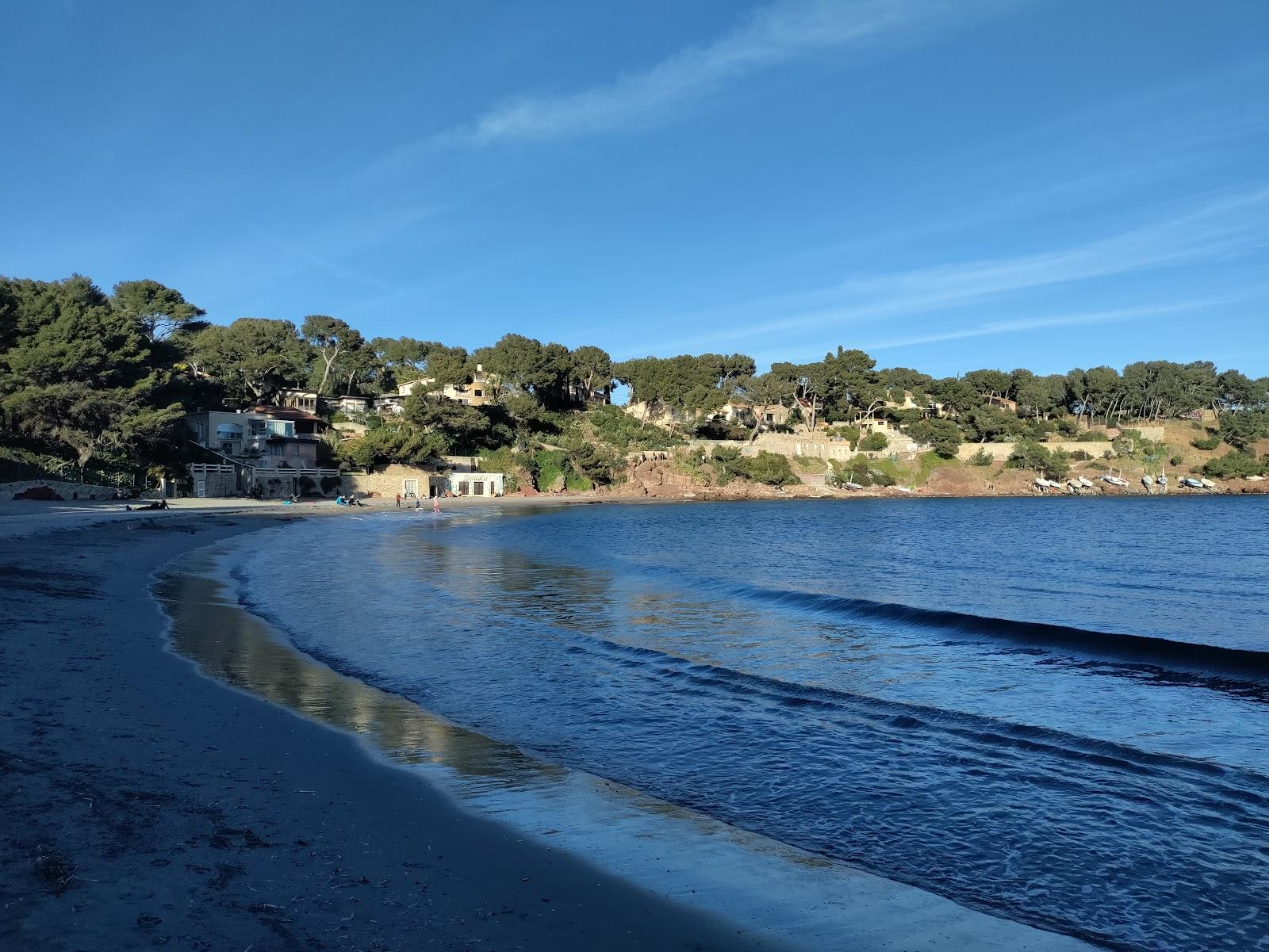 Sandee Plage De Fabregas