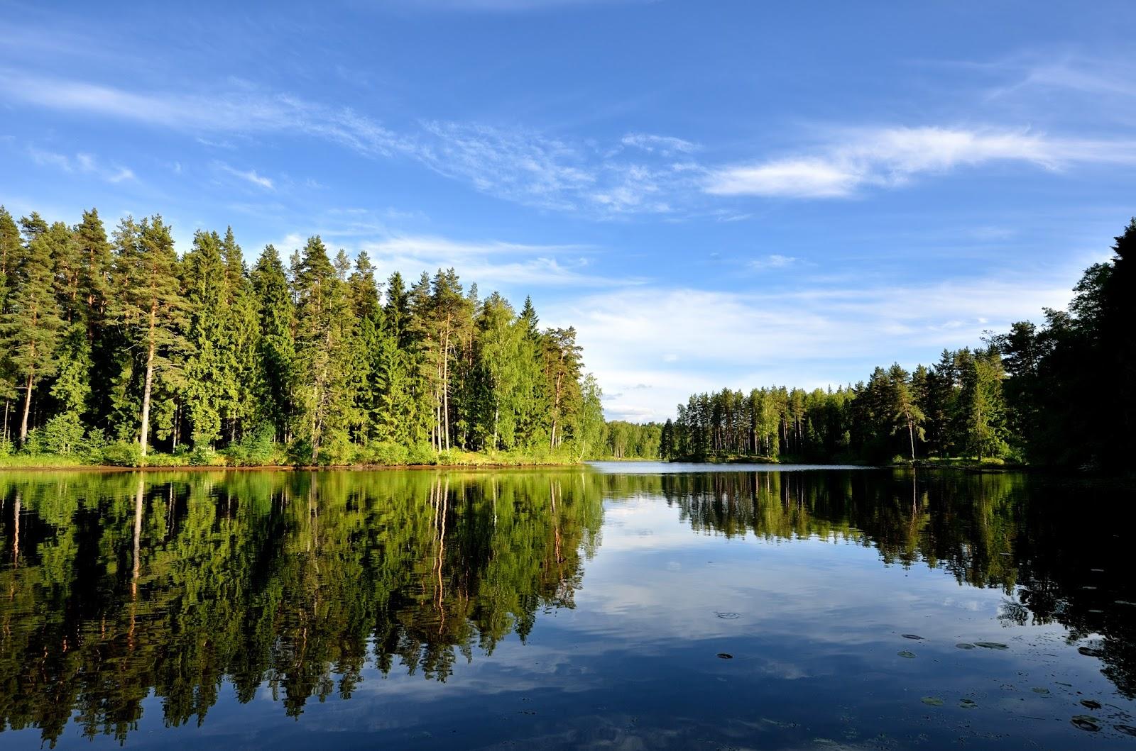 Sandee Rabun Beach Recreation Area Photo