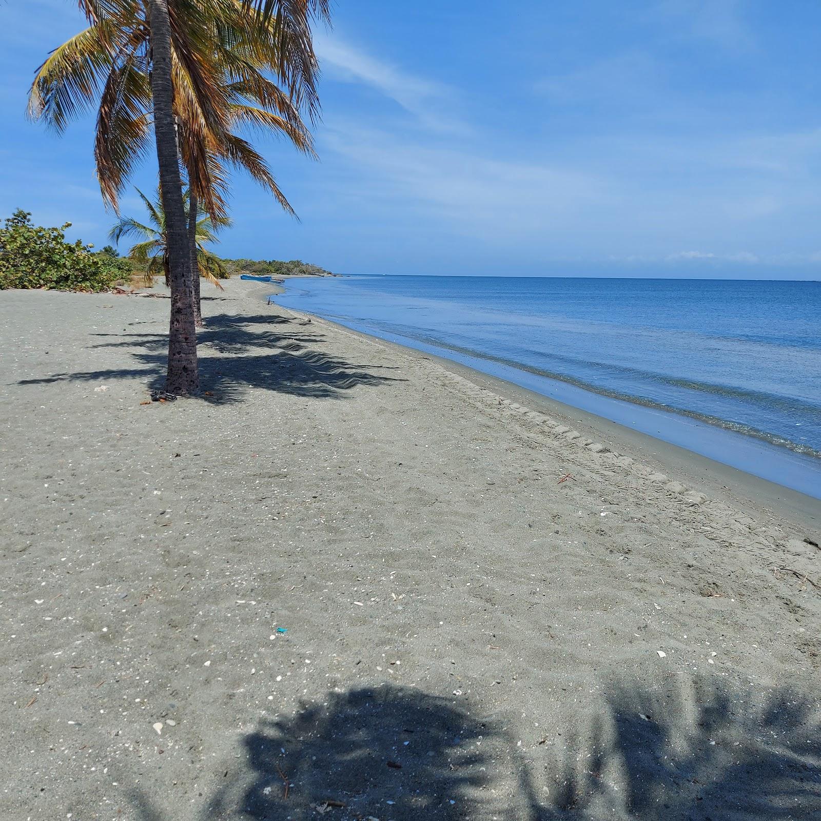 Sandee Punta Salina Beach
