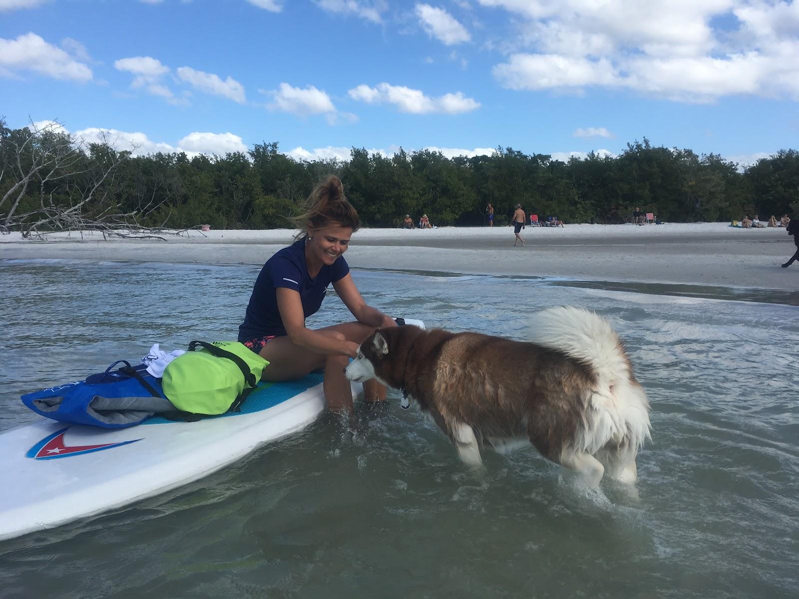 Sandee Dog Beach Photo