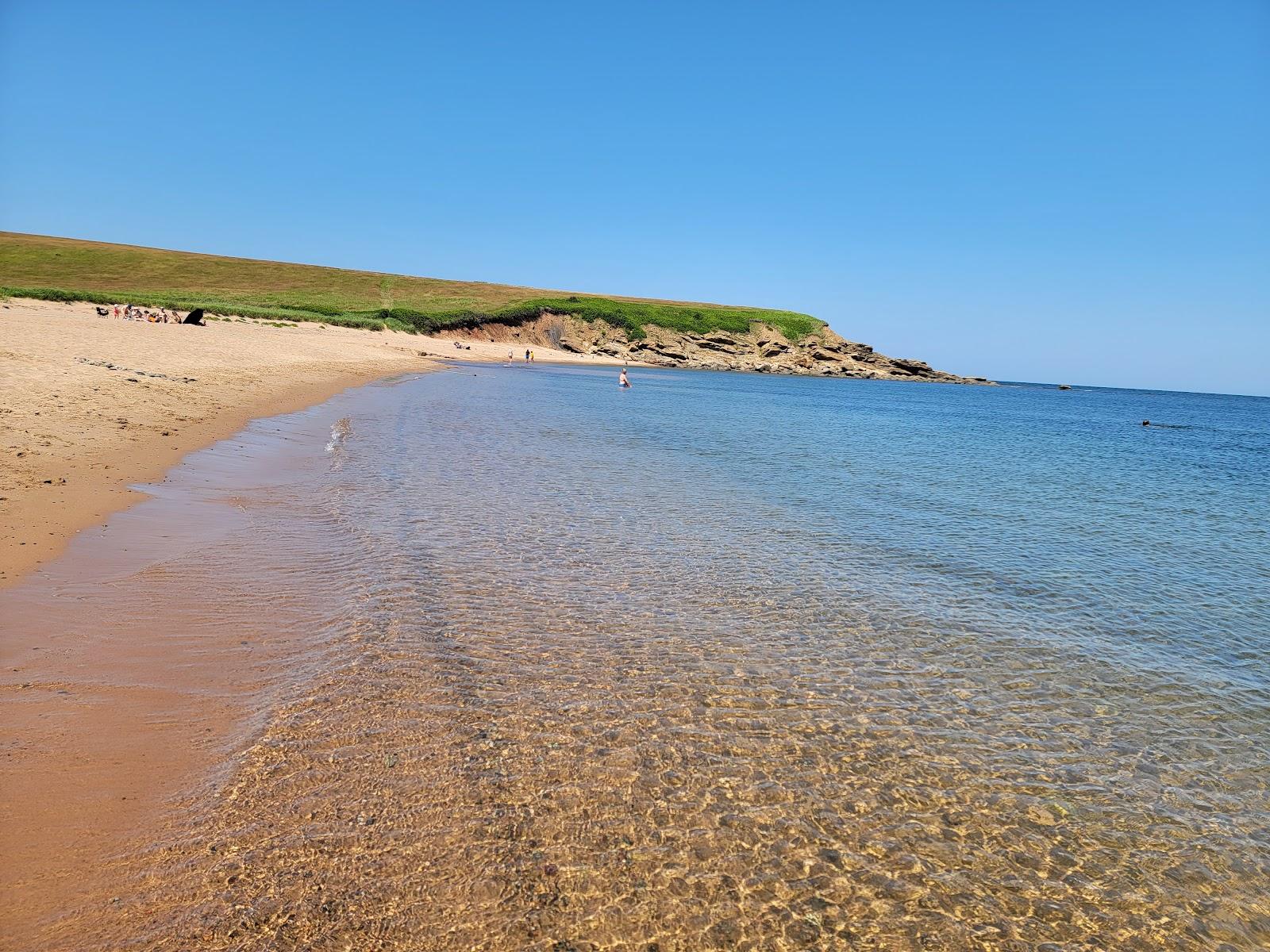 Sandee Whale Cove Beach Photo