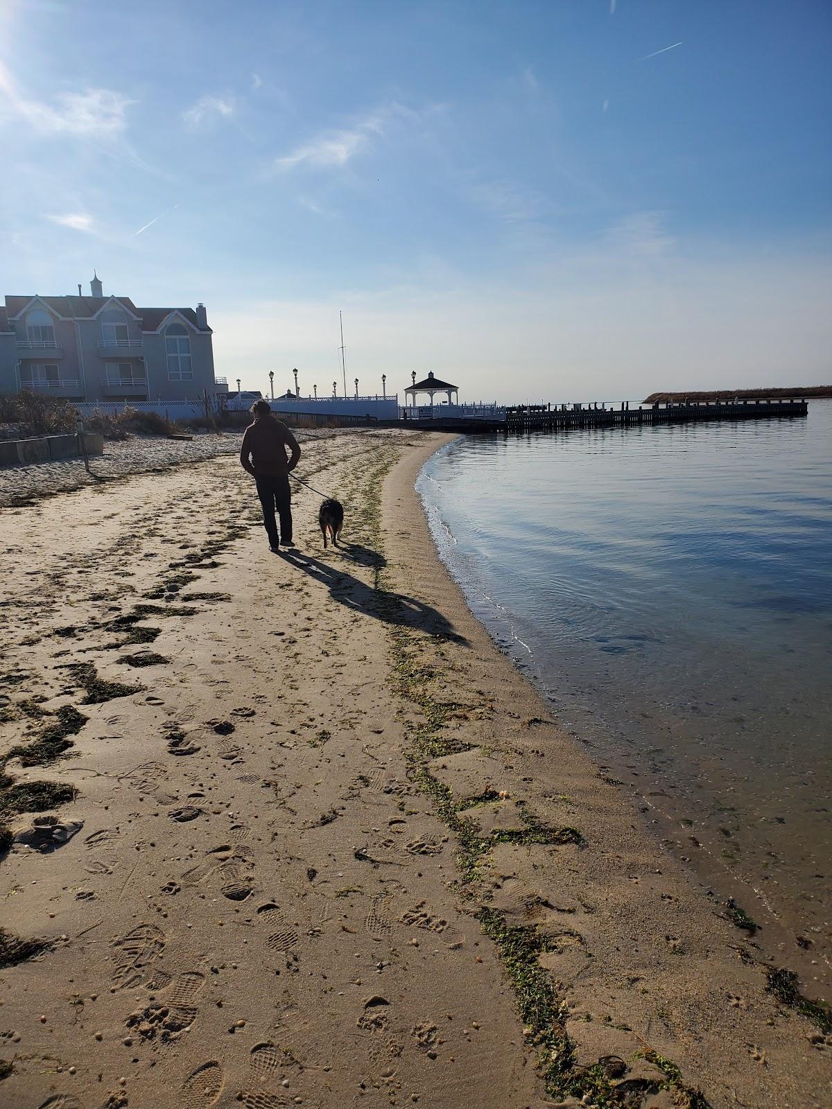 Sandee - Beach Haven Doggy Bay