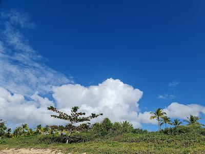 Sandee - Praia De Santo Andre