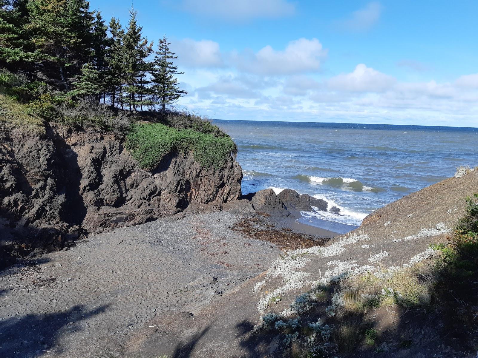 Sandee Arisaig Provincial Park