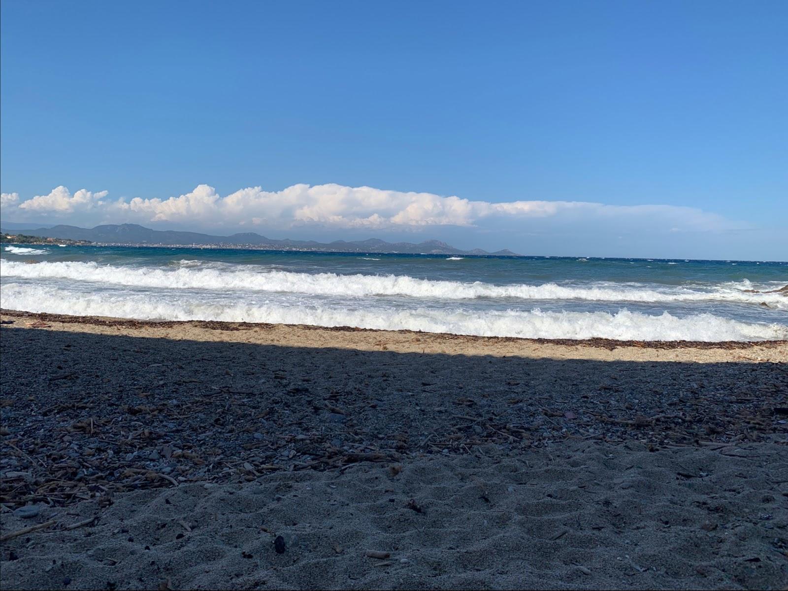 Sandee Plage Chien Doudoune