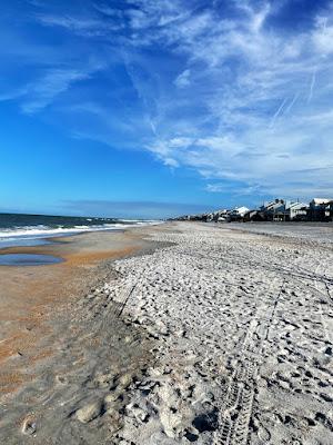 Sandee - South Ponte Vedra Beach Recreation Area