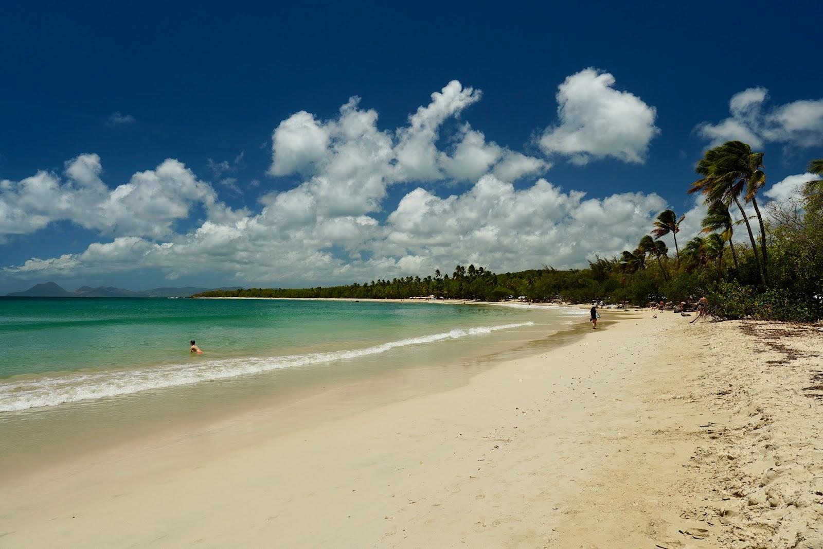 Sandee Plage Des Salines Photo