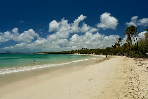 Sandee Plage Des Salines Photo