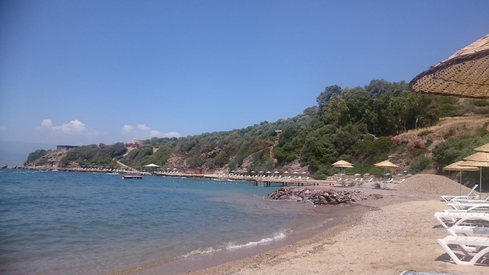 Sandee Deniz Residence Beach