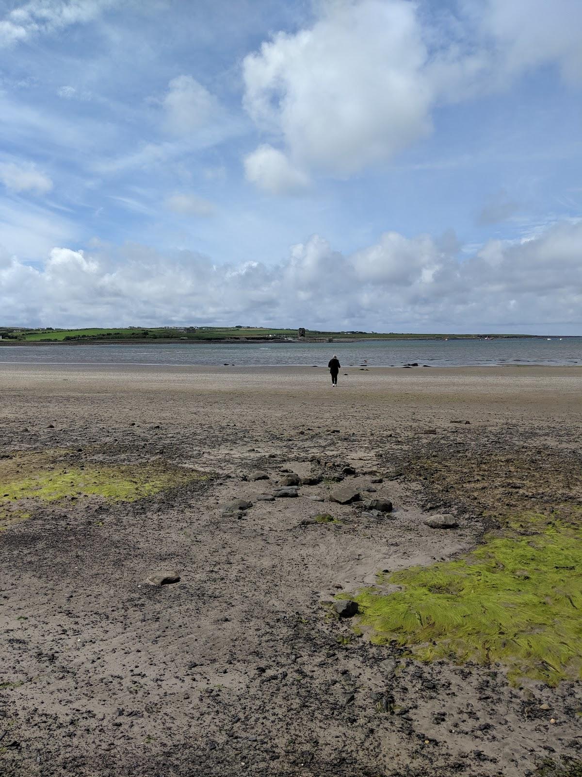 Sandee Rhynagonnaught Bay Beach