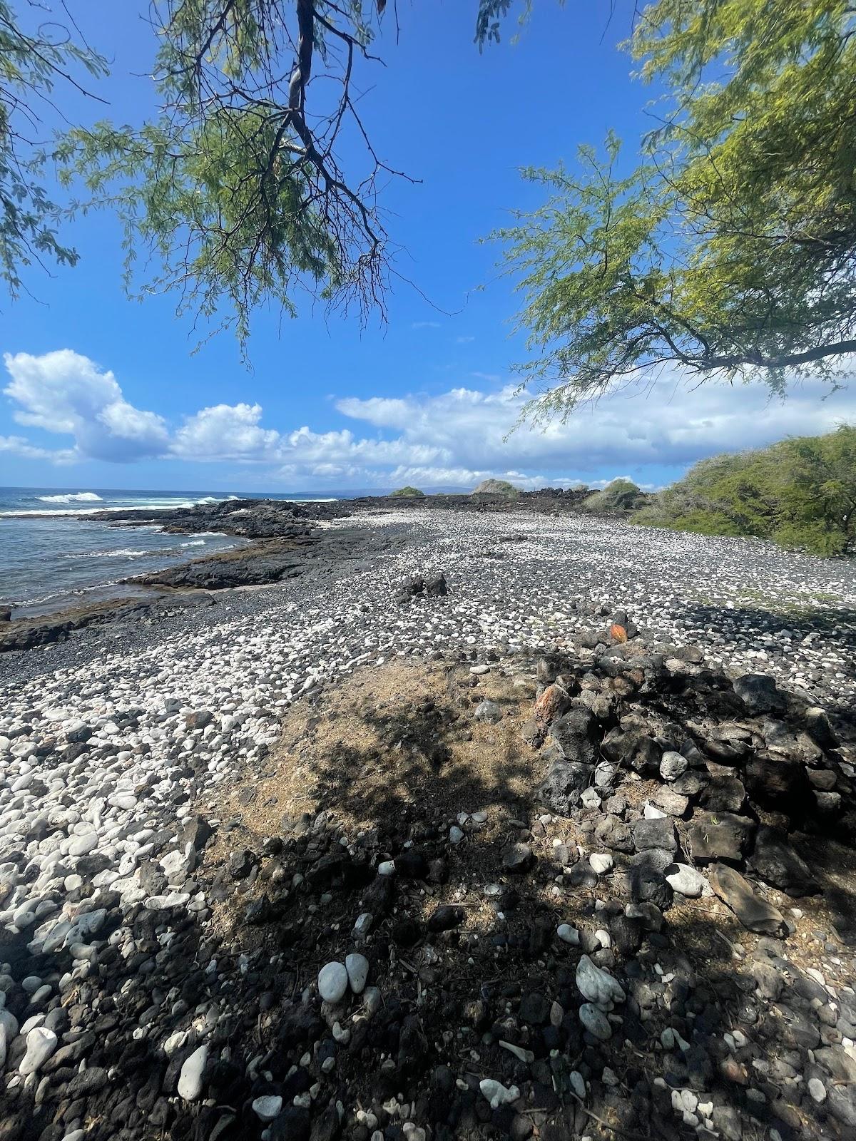 Sandee - Kanaio Beach