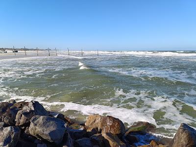 Sandee - Ponce Inlet Dog Beach