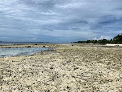 Sandee - Majuro Peace Park