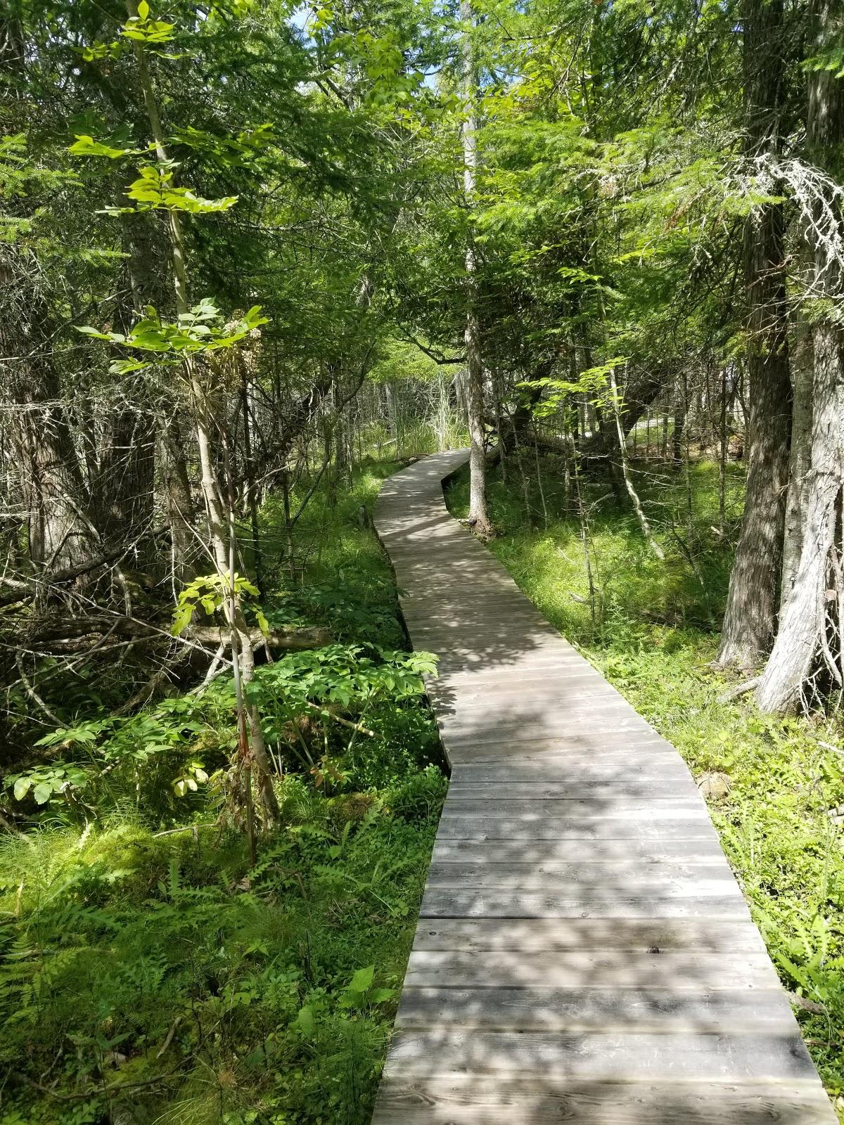 Sandee Thorne Swift Preserve Photo