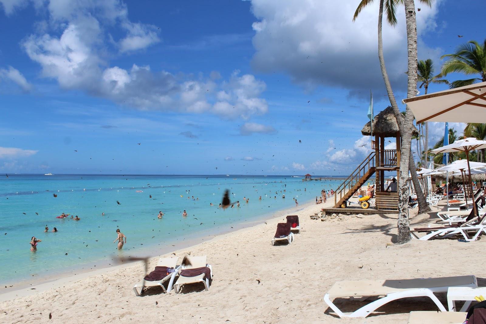 Sandee Public Beach Playa Dominicus Photo