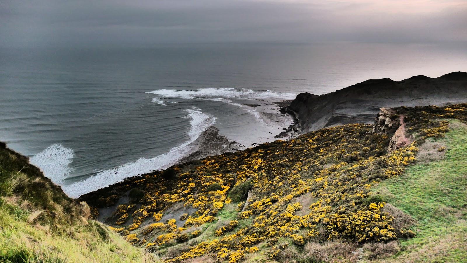 Sandee Kettleness Beach