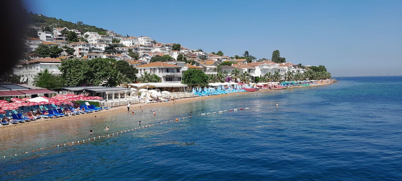 Sandee Burgazada Halk Plaji