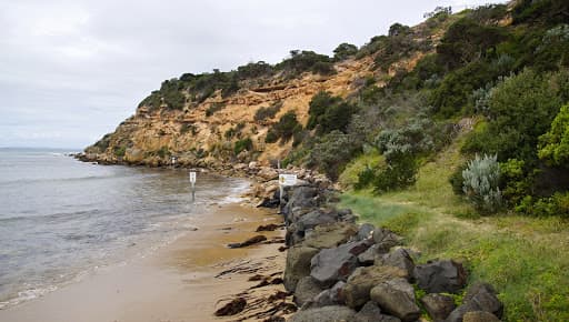 Sandee Barwon Bluff Marine Sanctuary Photo