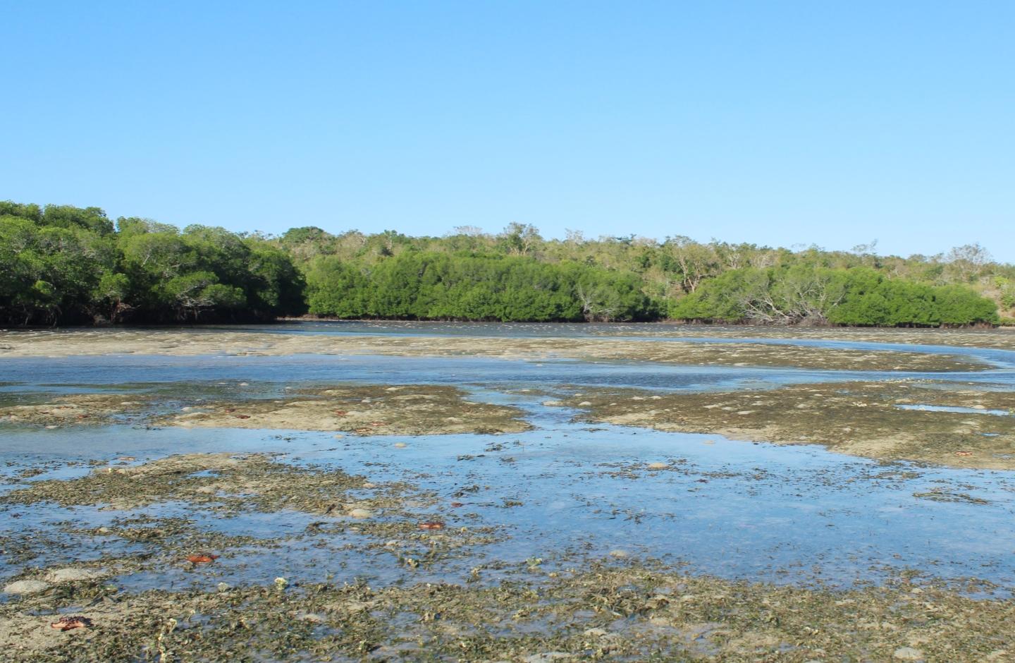 Sandee Pantai Bakau Tesabela