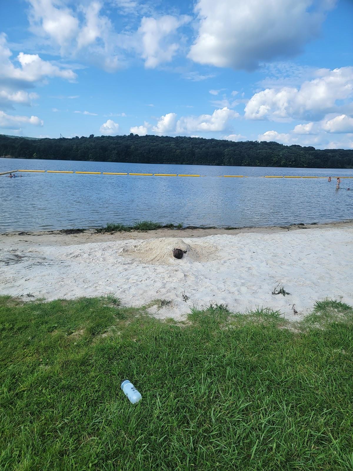 Sandee Yellow Creek State Park Beach/Picnic Area