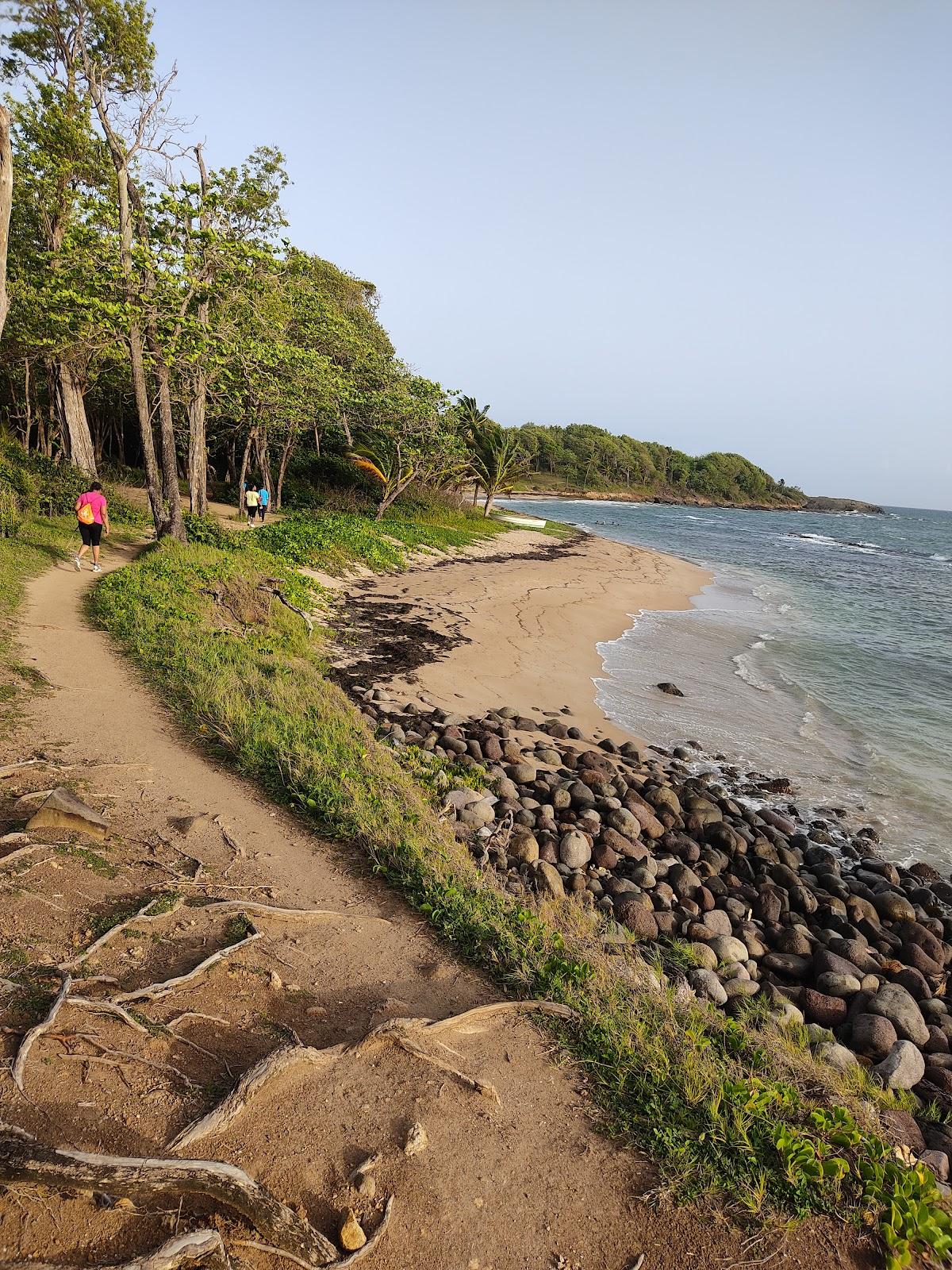 Sandee Plage La Ramee