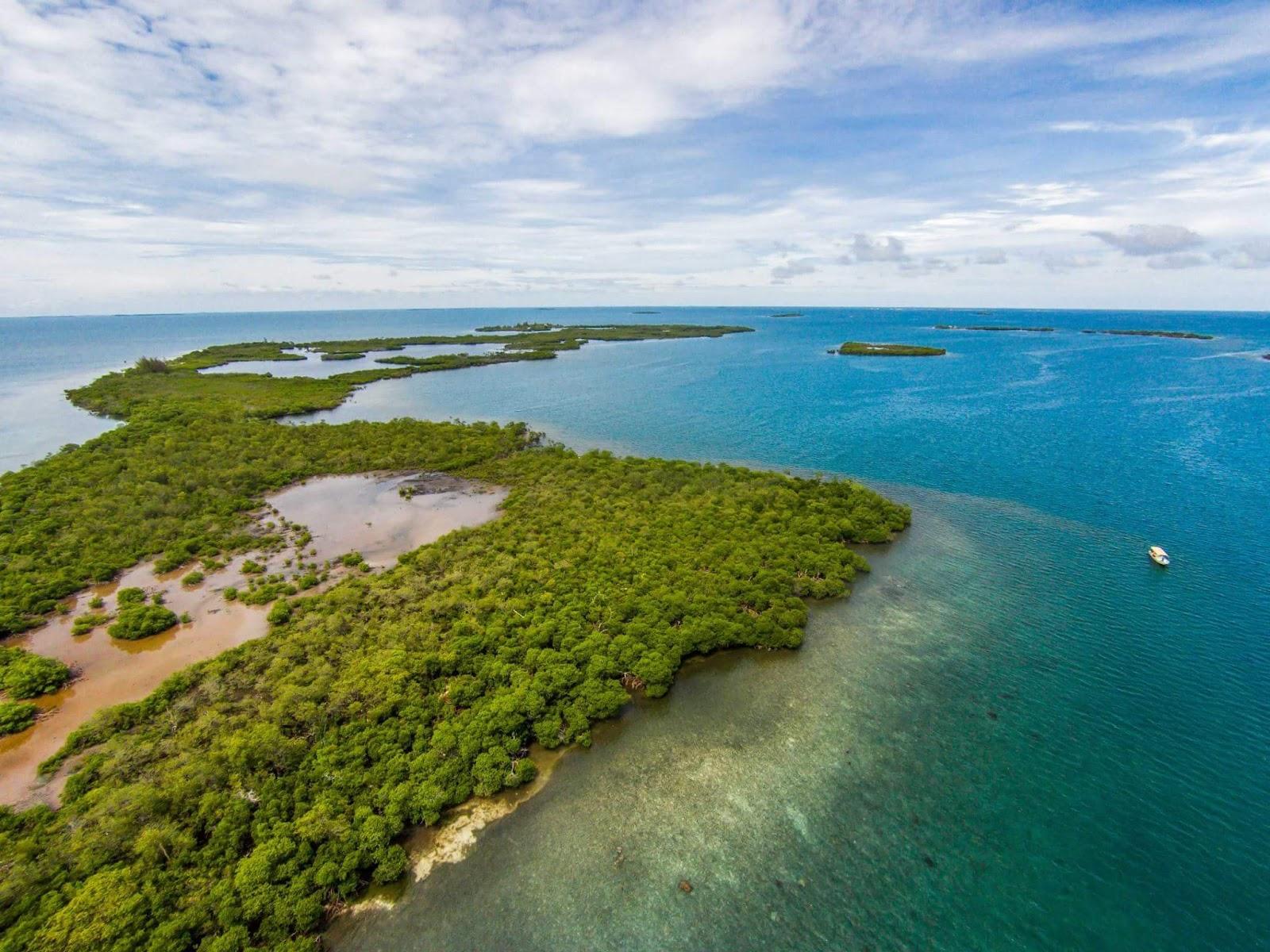Sandee Lark Caye
