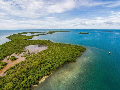 Sandee - Lark Caye