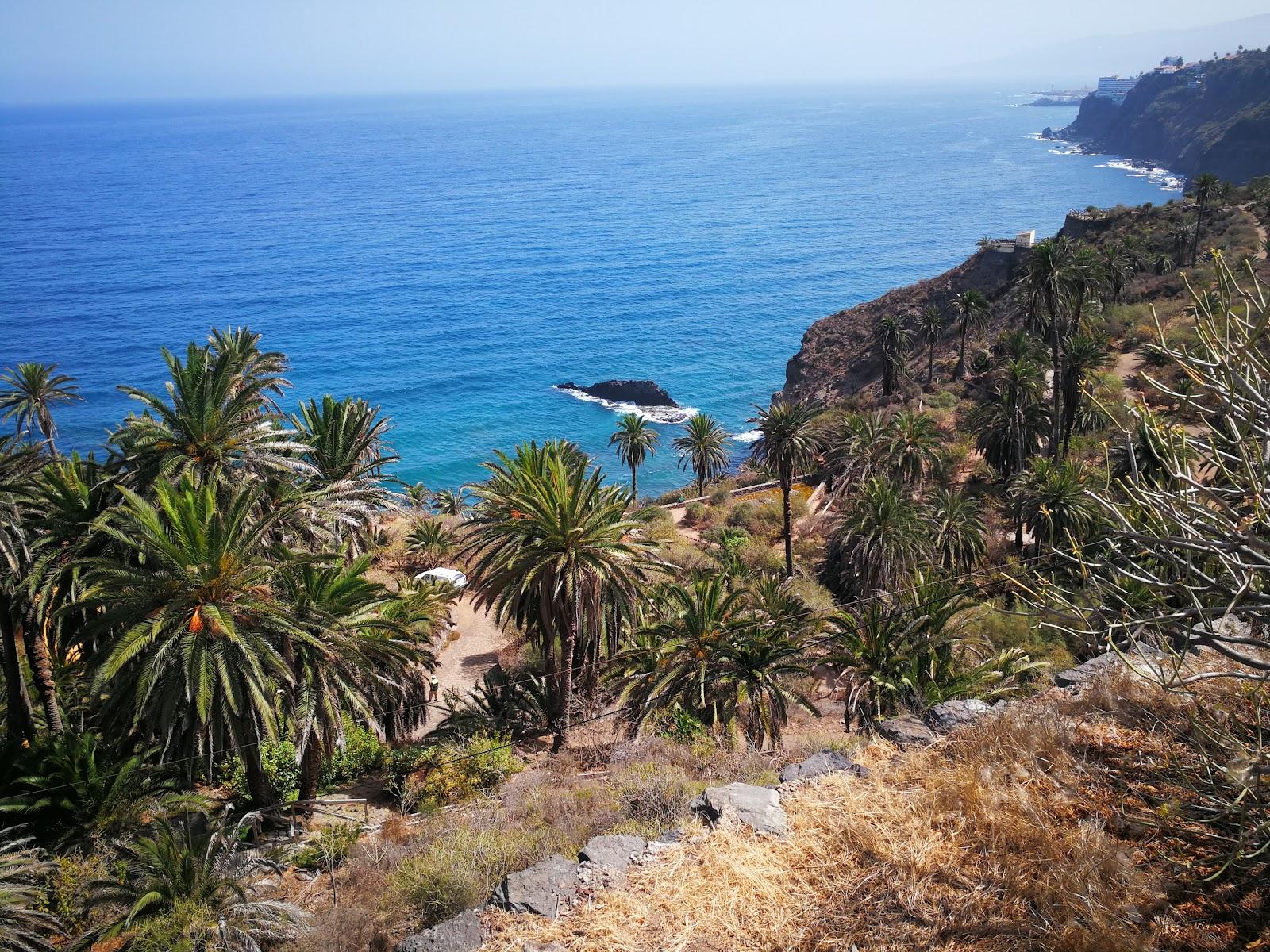 Sandee - Playa De San Fernando