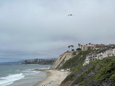 Sandee - Dana Strand Beach