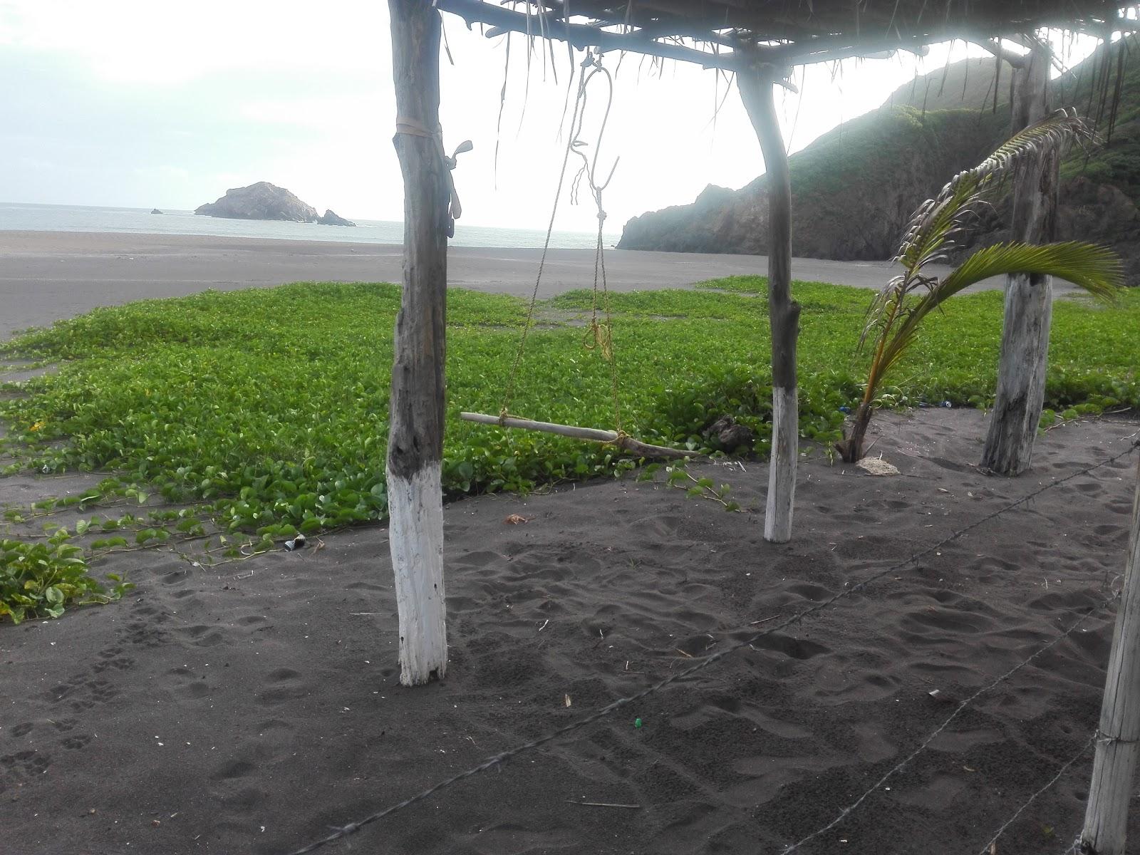 Sandee Morquecho's Island