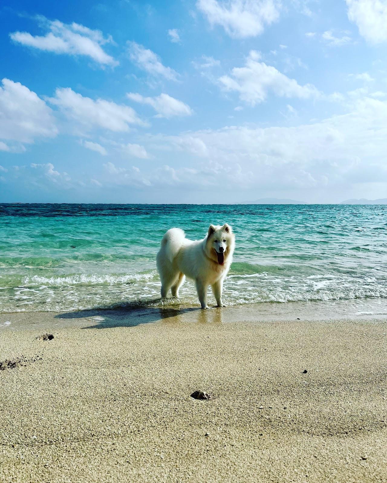 Sandee - Ishizaki Beach