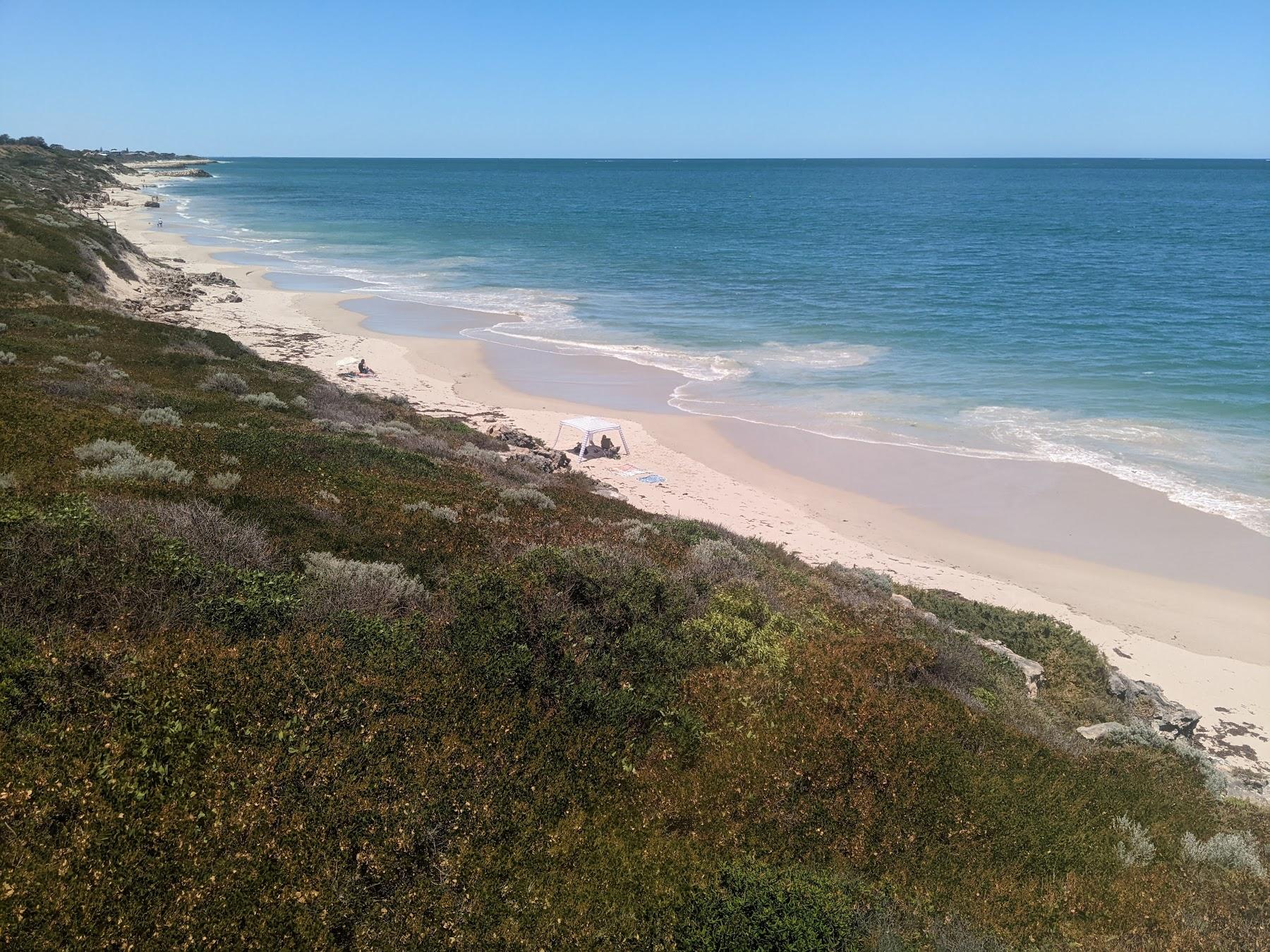 Sandee Quinns Dog Beach Photo