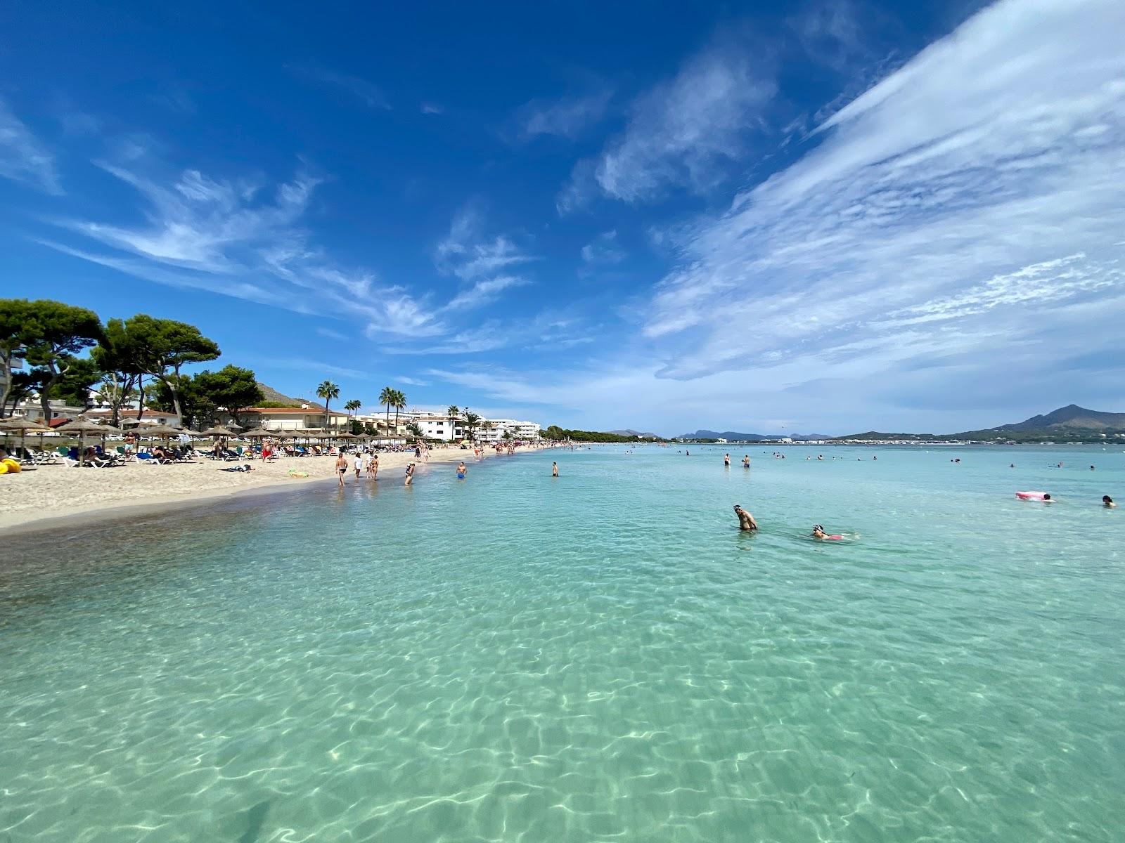 Sandee Playa de Muro Photo