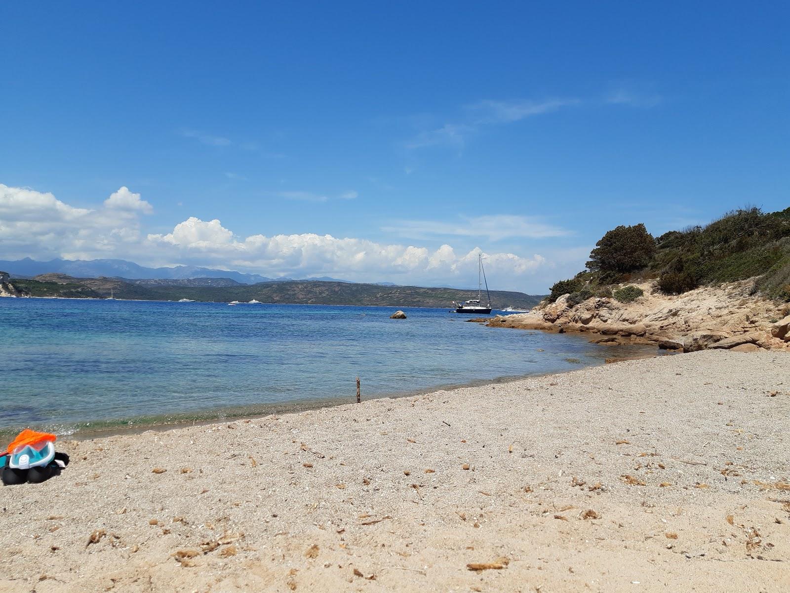 Sandee Spot Kite Santa Manza Beach