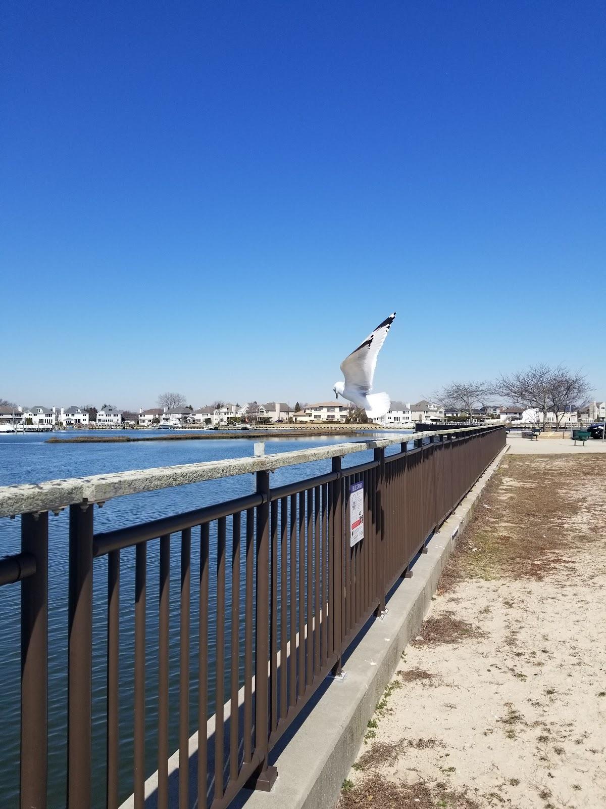 Sandee - Philip B Healey Beach At Florence Avenue