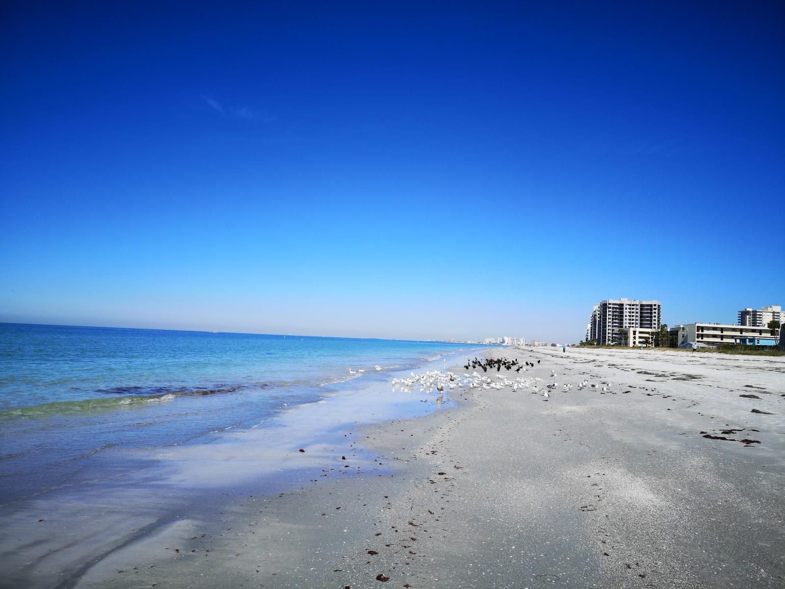 Sandee Belleair Beach